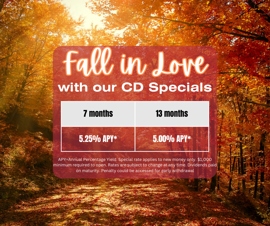 Fall CD